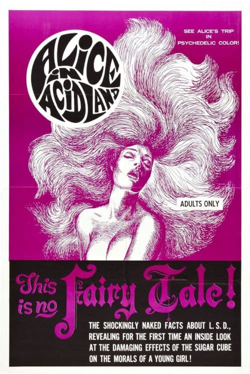 Alice In Acidland 01 Movie Poster canvas print