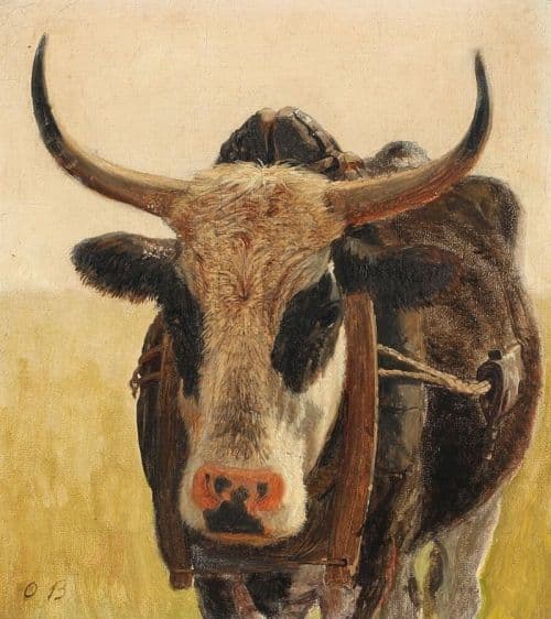 Bache Otto A Black Spotted Ox Ca. 1863 canvas print