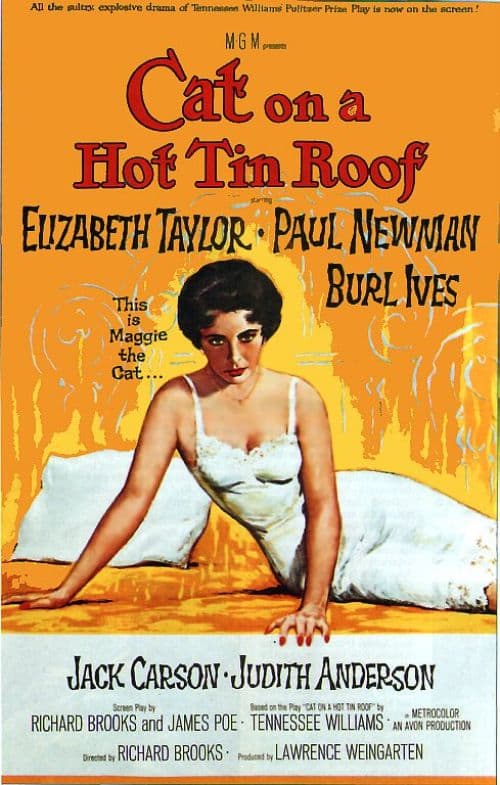 Cat On A Hot Tin Roof 1958 Movie Poster canvas print