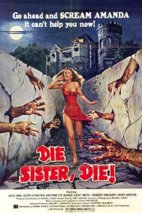Die Sister Die Movie Poster canvas print