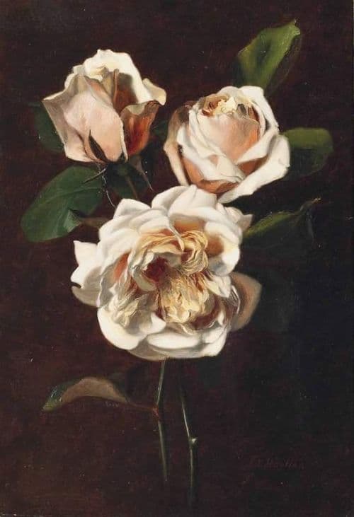Hayllar Edith Gloire De Dijon Roses canvas print