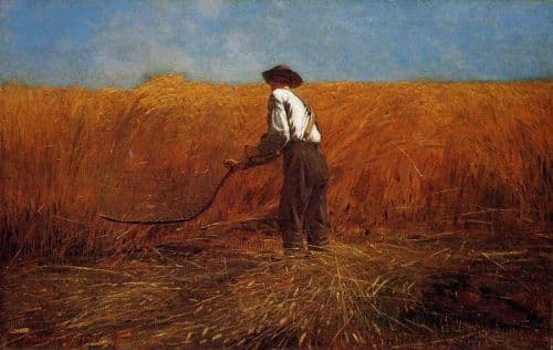 Homer Winslow The Veteran In A New Field 1865 canvas print