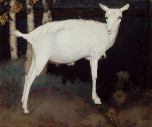 Mankes Jan Young White Goat canvas print