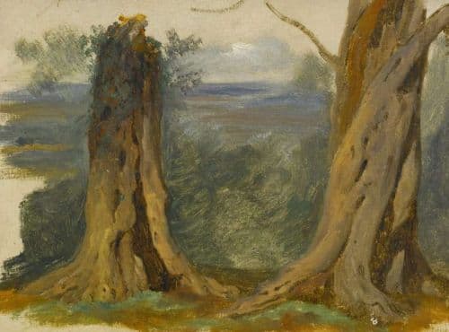 Munnings Alfred James Study Of Two Tree Trunks canvas print