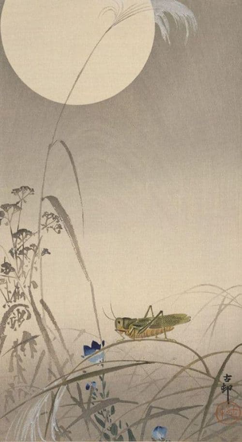 Ohara Koson Grasshopper And Full Moon 1910 canvas print