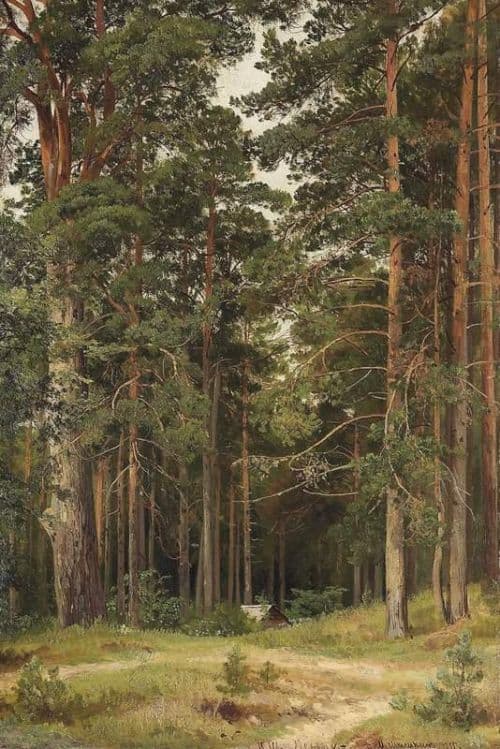 Shishkin Ivan Ivanovich A Summer Day Merikiul canvas print