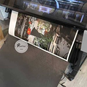 Print Gallery 22