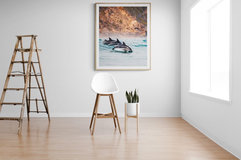 Dolphins Playing canvas print