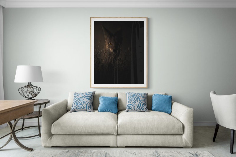 The Real Fox canvas print