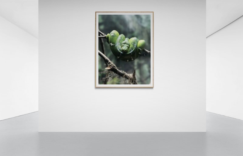 Waiting For Eve canvas print