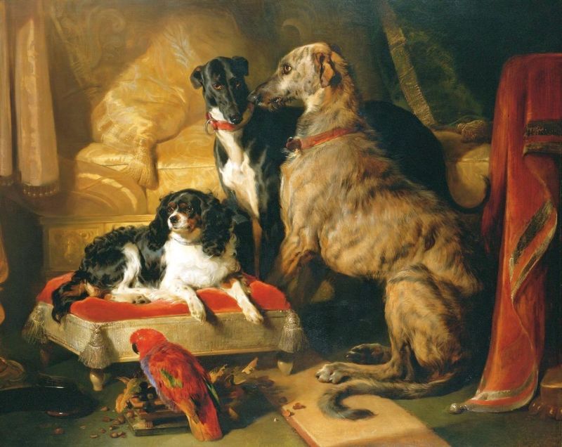 Landseer Edwin Hector Nero And Dash With The Parrot Lory canvas print