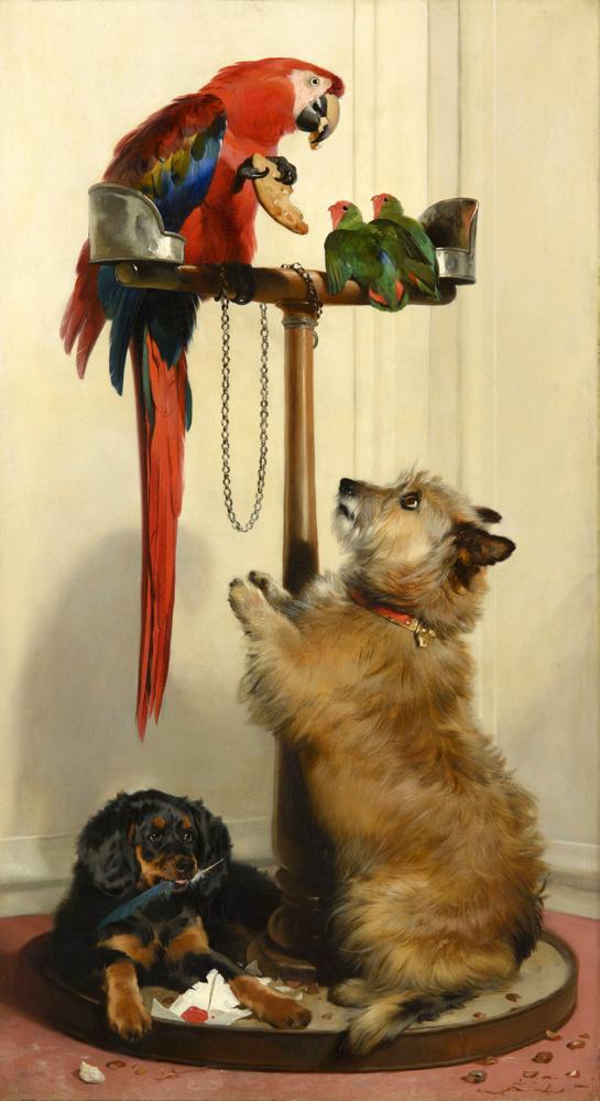 Landseer Edwin Islay Tilco A Macaw And Two Lovebirds canvas print
