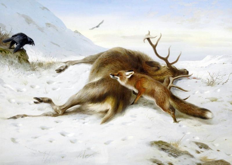 Thorburn Archibald Not For The Larder canvas print