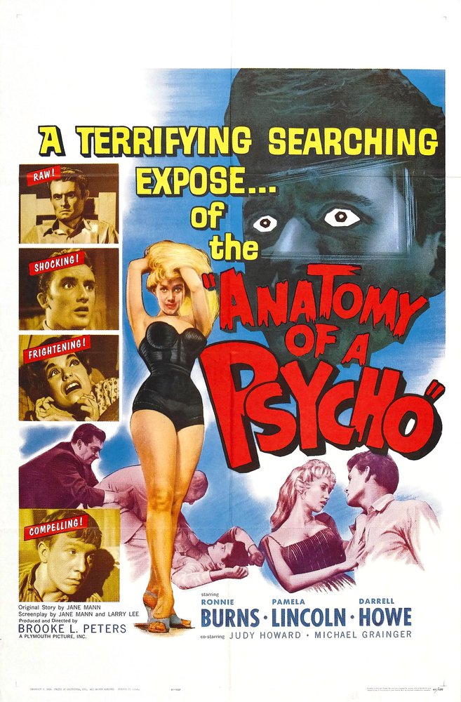 Tableaux sur toile, reproduction de Anatomy Of Psycho 01 Movie Poster