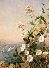 Anderson Sophie Gengembre Still Life Of Flowers Capri 1879