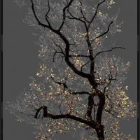 Arman N 17 Dark Trees-serie