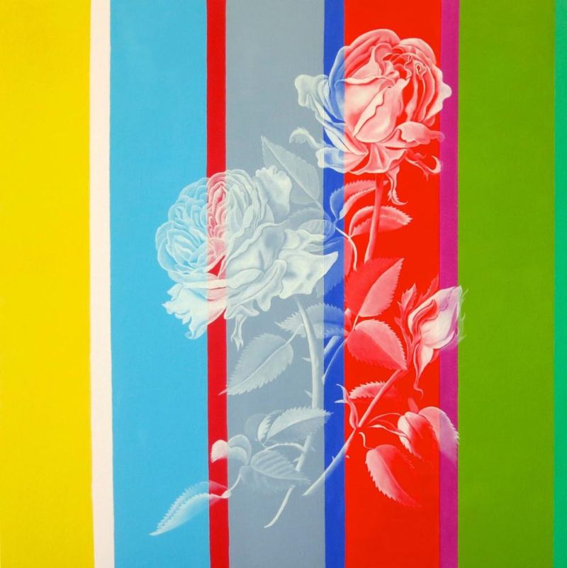 Augius Krista Colors Of Rose canvas print