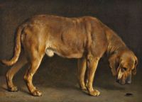 Bache Otto Ein Broholmer-Hund, der einen Hirschkäfer betrachtet