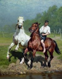 Bache Otto Knecht reitet zwei Pferde zum Wasser