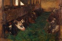 Bache Otto Young Cattle Enjoy Green Food In The Stable