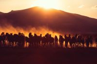 Band Of Brothers