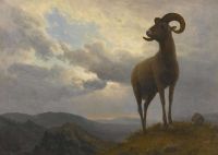 Bierstadt Albert Bighorn Sheep Ca. 1876 ​​79 طبعة قماشية