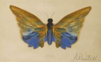 Bierstadt Albert Butterfly Ca. 1890 canvas print