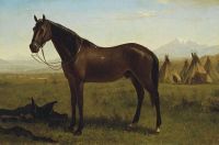 حصان بيرشتات ألبرت في معسكر هندي كاليفورنيا. 1860 قماش مطبوع