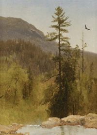 Bierstadt Albert White Mountains New Hampshire canvas print