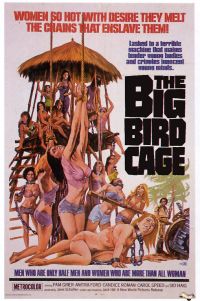 Affiche du film Big Birdcage 1972