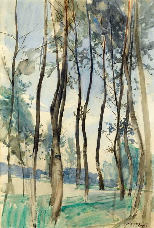 Boldini Giovanni Landscape With Trees In The Bois De Boulogne Paris Ca. 1900 10 canvas print