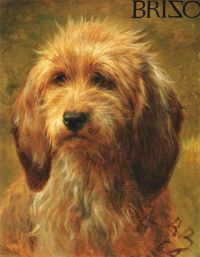 Glück Rosa Brizo Ein Schäferhund 1864
