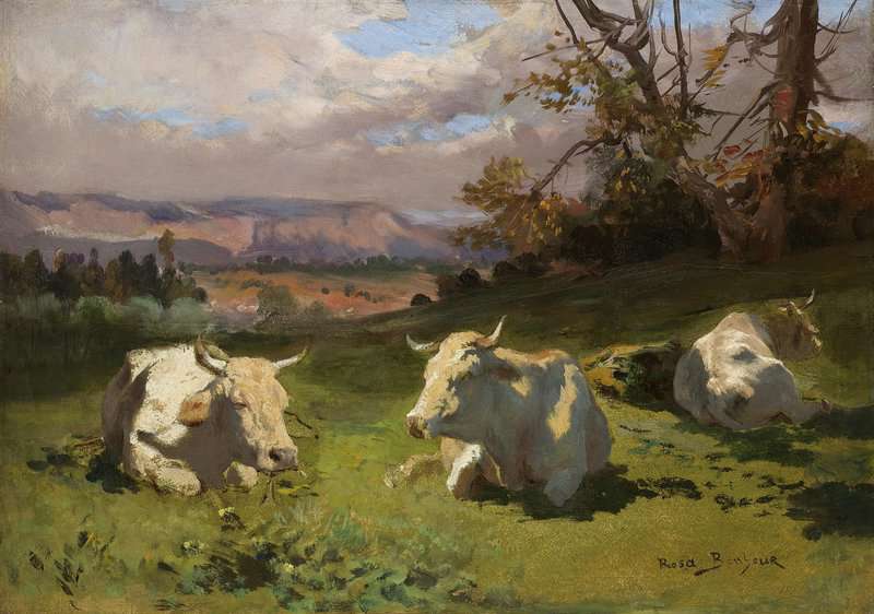 Bonheur Rosa Cows Resting canvas print