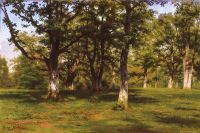 Glück Rosa Wald von Fontainebleau. Frühling im Wald
