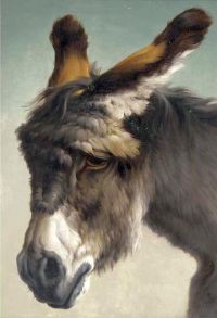 Bonheur Rosa The Forlorn Donkey Ca. 1881 canvas print