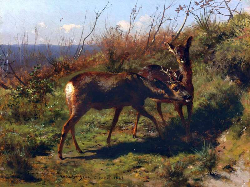 Bonheur Rosa Two Young Deer 1852 canvas print