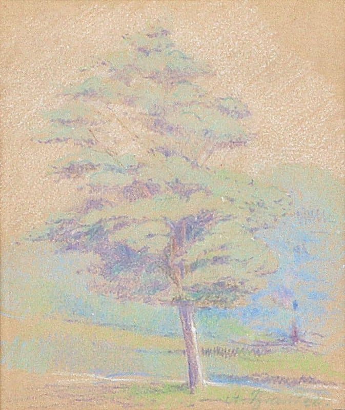 Brandeis Antonietta Study Of A Tree canvas print