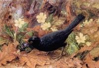 بريت جون طائر شحرور في غابة الخريف محاط بزهور الربيع والبنفسج عام 1878