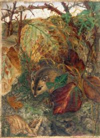 Brett John Mouse In The Undergrowth 1859 canvas print