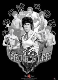 Stampa su tela di Bruce Lee 5