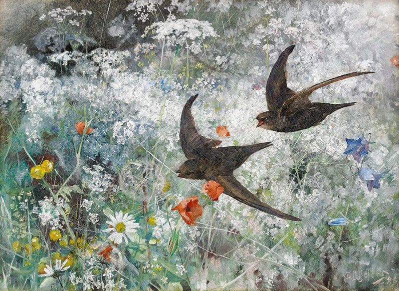Tableaux sur toile, reproduction de Bruno Liljefors Common Swifts 1886