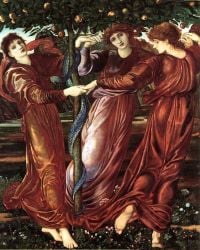 Burne Jones Edward The Garden Of The Hesperides 1870 73 canvas print
