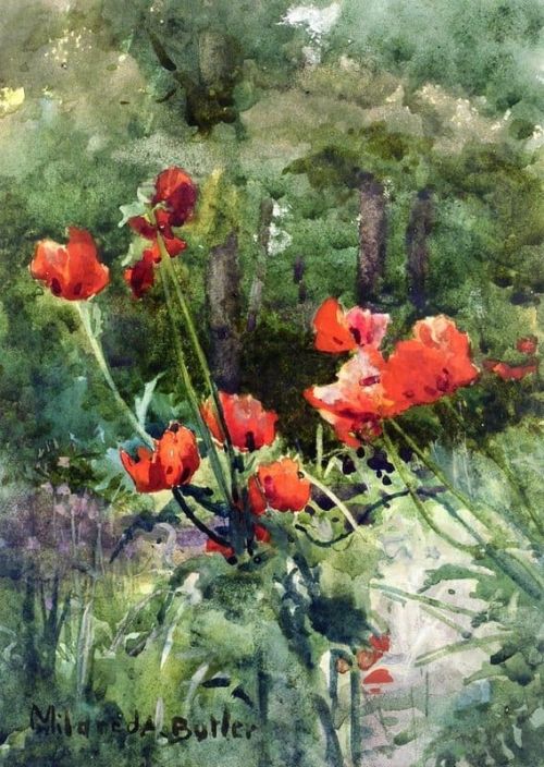 Butler Mildred Anne Garden Poppies canvas print