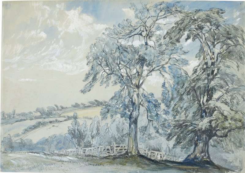 Callow William Parkland At Madeley Manor Staffordshire 1843 canvas print