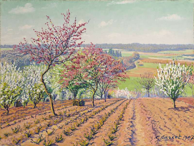 Cariot Gustave Arbres En Fleurs Dans Un Champ 1907 canvas print