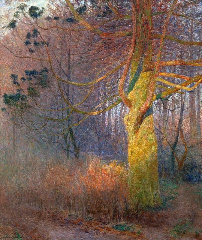 Claus Emile Tree In The Sun 1900 canvas print