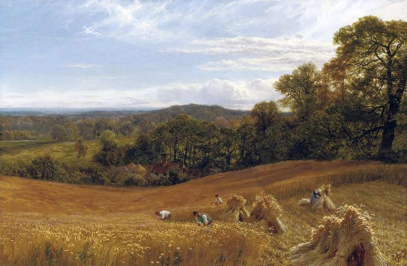 Cole George Vicat The Heart Of Surrey 1891 canvas print