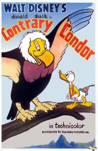 Locandina del film Contrary Condor 1944