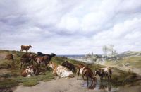 ماشية كوبر توماس سيدني تستريح على جانب التل 1872