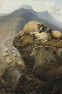 Cooper Thomas Sidney Sheep In The Isle Of Skye 1877 canvas print